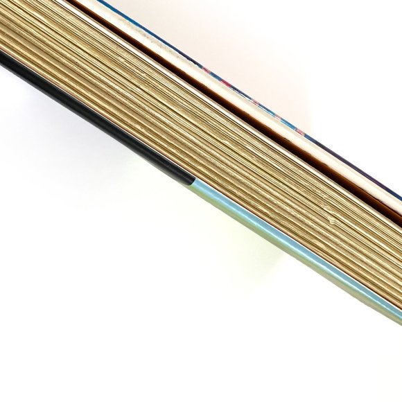 Pride: A Novel - 1998 Hardcover Book - Lorene Cary - Picture 6 of 6